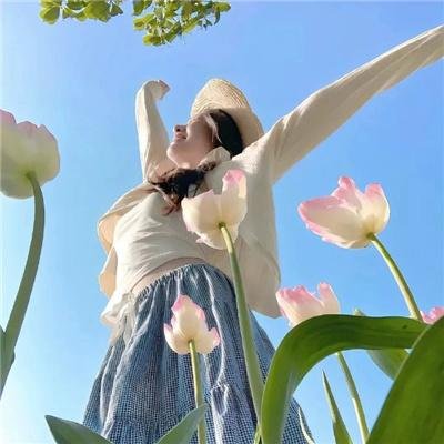 探险活宝第七季