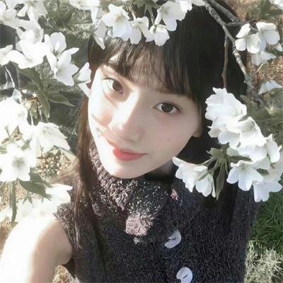 白痴5和哭喊的夫人
